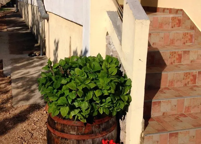 Appartement By The Sea Seline, Paklenica - 6528 *